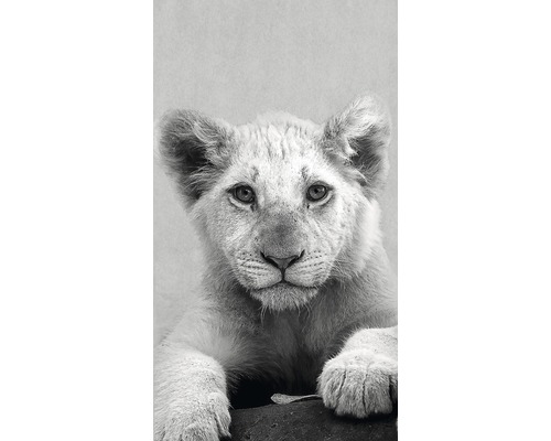 Dekopanel Young Lion 15x30 cm