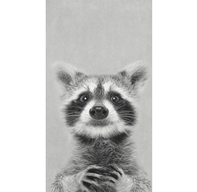 Dekopanel Young racoon 15x30 cm