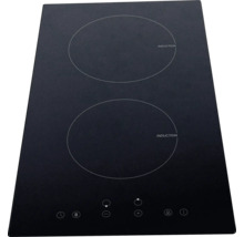 Plaque de cuisson à induction avec deux zones de cuisson