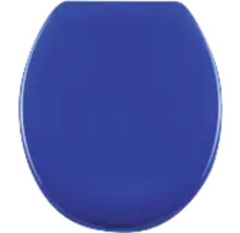 WC-Sitz aus Kunststoff