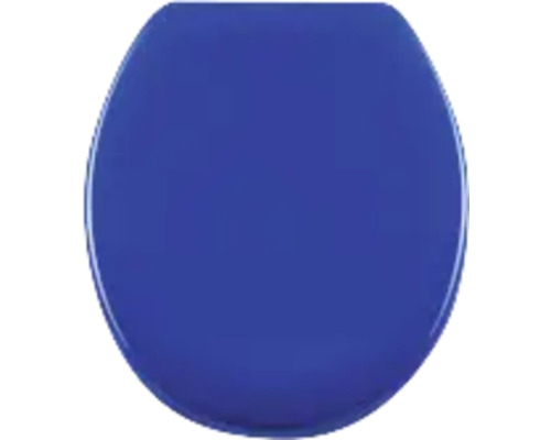 WC-Sitz Barbana uni mit Absenkautomatik WC-Sitz aus Kunststoff