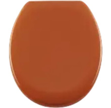 Toilettendeckel aus Kunststoff