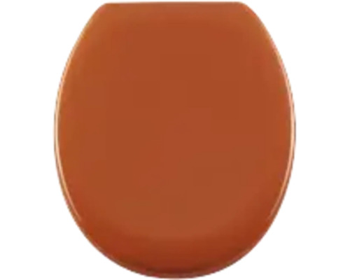 Toilettendeckel aus Kunststoff