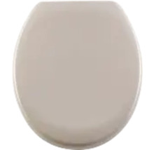 Toilettendeckel aus Kunststoff