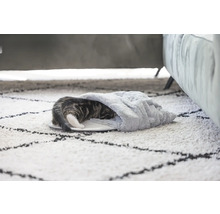 Chat dans un lit pour chat sur un tapis