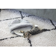 Chat allongé sur un tapis à côté d'un lit pour chat