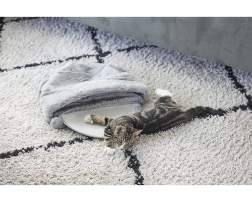 Chat allongé sur un tapis à côté d'un lit pour chat