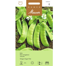 Mauser Oregon Sugar Pod Samenpackung