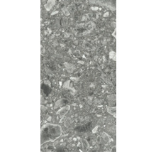 Carreau en grès cérame gris avec motif de pierre