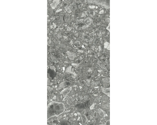 Carreau en grès cérame gris avec motif de pierre