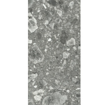 Carreau en grès cérame gris avec décor en pierre