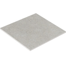 Carreau individuel en grès cérame