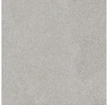 Carreau de sol gris à surface mouchetée