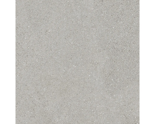 Carreau de sol gris à surface mouchetée