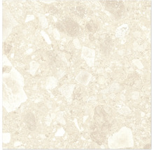 Beige Bodenfliese mit Terrazzo Optik