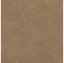 Carreau en céramique avec surface mouchetée