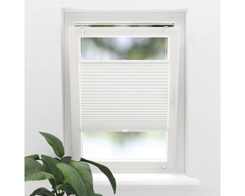 Store plissé tamisant SOLUNA blanc 45x130 cm Fenêtre avec store plissé blanc et plante d'intérieur