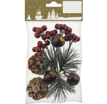Weihnachtsdekoration mit Beerenzweigen, Tannenzweigen und Tannenzapfen