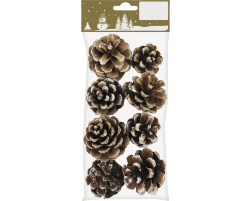 Pommes de pin avec pointes blanches env. 5 cm 8 pièces Pommes de pin décoratives avec effet de neige dans l'emballage