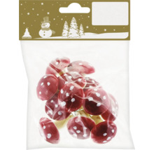 Emballage de champignons rouges à pois blancs pour la décoration