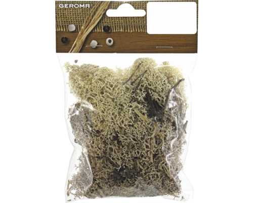 Packung Islandmoos zur Dekoration