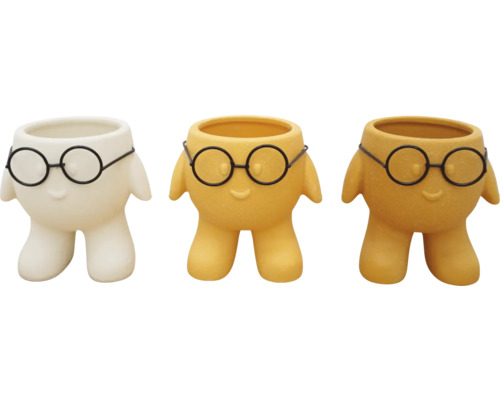 Trois pots de fleurs avec un design de lunettes