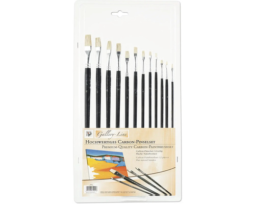 Zwölfteiliges Pinselset mit flachen Naturborsten in einer Verpackung