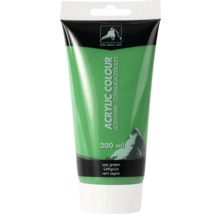Tube de peinture acrylique vert de vessie, 200 millilitres