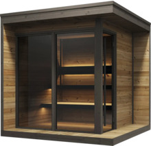 Sauna d'extérieur moderne en bois avec façade vitrée, toit plat et éclairage intérieur intégré sur les bancs.