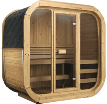 Sauna tonneau en bois avec façade vitrée, bardeaux de toit noirs et bancs en bois à deux niveaux à l'intérieur.