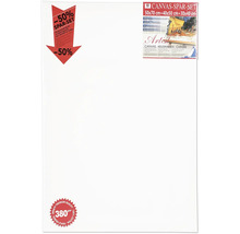 Keilrahmen Sparset 50x70, 40x50 und 30x40 Zentimeter