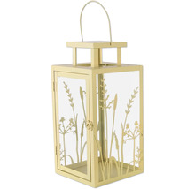 Lanterne avec motif de plantes pour l'intérieur et l'extérieur