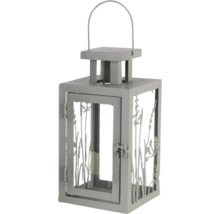 Lanterne décorative avec motif de plantes pour un éclairage d'ambiance