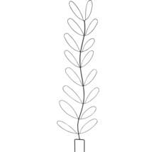 Illustration einer Pflanze mit länglichen Blättern und einem einfachen Topf