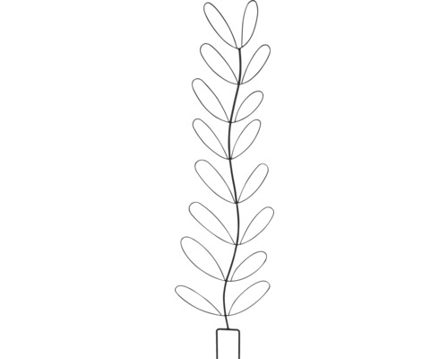 Illustration einer Pflanze mit länglichen Blättern und einem einfachen Topf