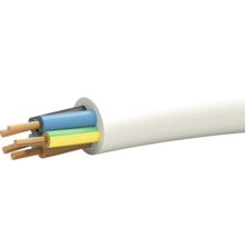 Câble électrique avec plusieurs conducteurs.