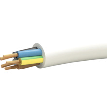 Elektrokabel mit mehreren farbigen Innenleitern und einer Ummantelung