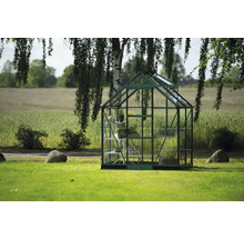 Gewächshaus mit Regalen im Garten