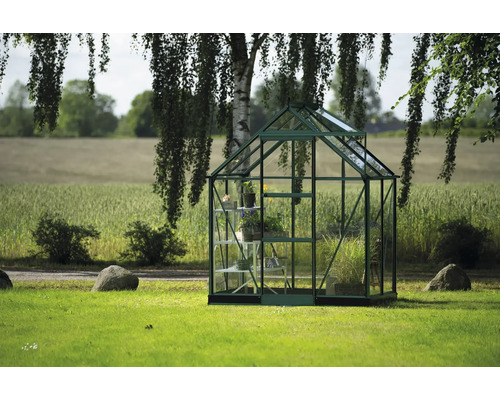 Gewächshaus mit Glaswänden und Pflanzenregalen im Garten