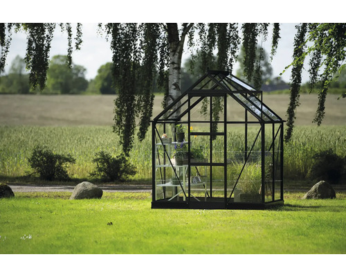 Gewächshaus mit Pflanzen im Garten