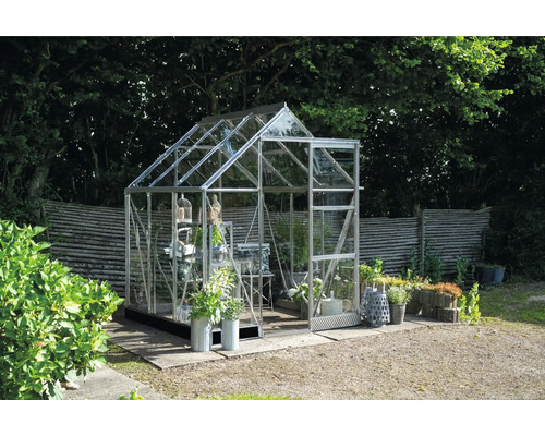 Gewächshaus im Garten mit Pflanzen und Gartenzubehör