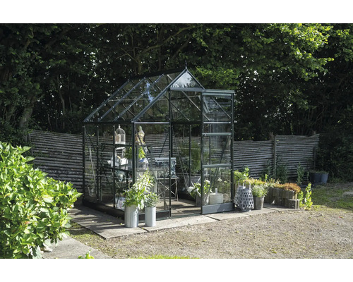 Gewächshaus aus Glas und Metall im Garten mit Pflanzen und Dekorationen.