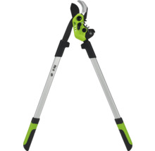 Élagueuse à manche télescopique pour le jardinage