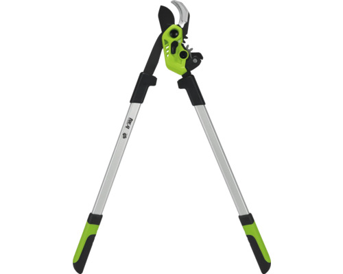 Élagueuse à manche télescopique pour le jardinage