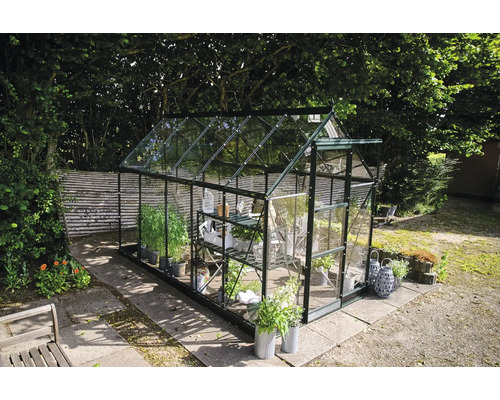 Gewächshaus mit Pflanzen im Garten