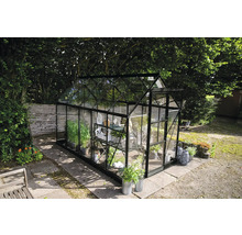 Gewächshaus aus Glas und Metall im Garten mit Pflanzen