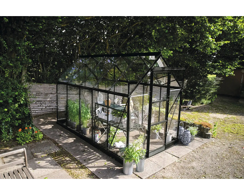 Gewächshaus aus Glas und Metall im Garten mit Pflanzen