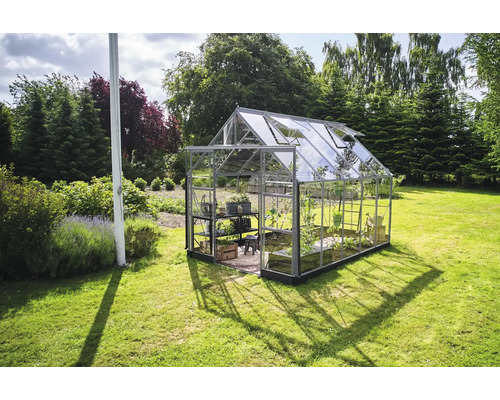 Gewächshaus im Garten mit Pflanzen und Regalen