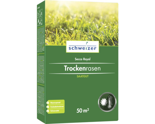 Eric Schweizer Rasenmischung Secco Royal bei Trockenheit 50m² Schweizer Secco Royal Trockenrasen Saatgut für 50 Quadratmeter
