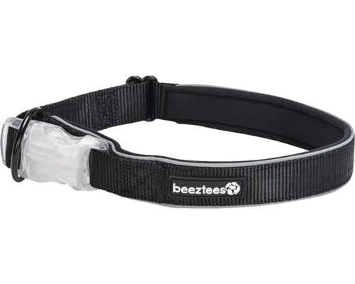Hundehalsband mit Leuchte